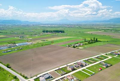 Teren Construcții intravilan de 31800 mp, în Sânpetru - 4