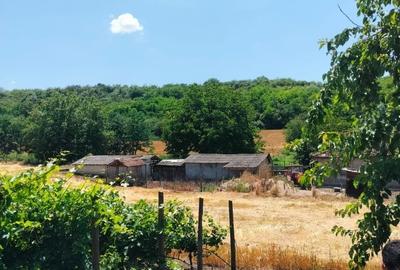 Casă cu 4 camere în Canlia - 4