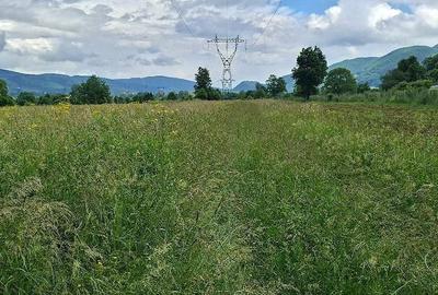 Teren de 2650 mp, în Vad