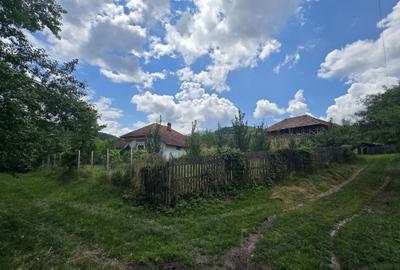 Casă cu 2 camere în Cepari - 1