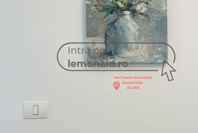 Apartament cu 2 camere decomandat, mobilat în Braytim - 10
