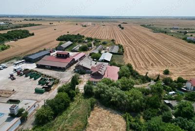 Teren de 28647 mp, în Sud - 1