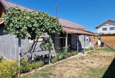 Casă cu 2 camere cu Teren 480 Mp în Bonț