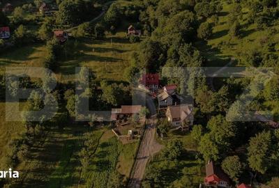Casă cu 3 camere cu Teren 550 Mp în Ibănești