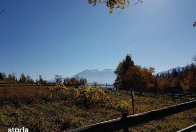 Teren de 7800 mp, în Central - 1