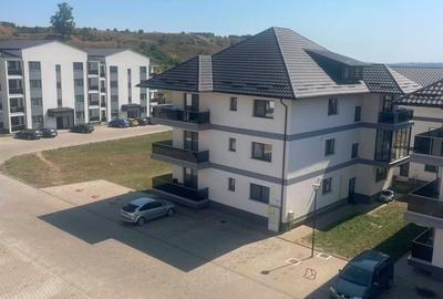 Apartament cu 2 camere în Paltin