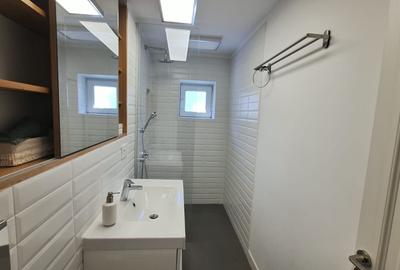 Apartament cu 2 camere decomandat, mobilat în Dristor - 13