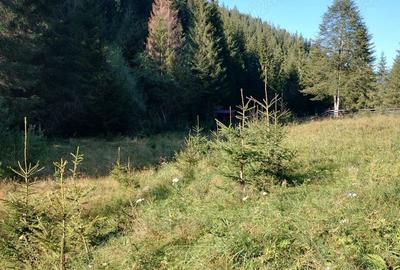 Teren de 3800 mp, în Capu Corbului - 4