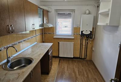 Apartament cu 2 camere semidecomandat în Craiovița Nouă - 11