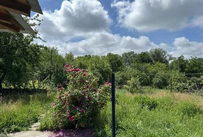Casă cu Teren 2650 Mp în Nemoiu - 3