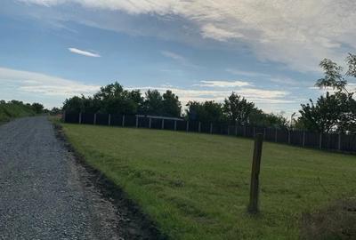 Teren de 1000 mp, în Cândeasca - 3