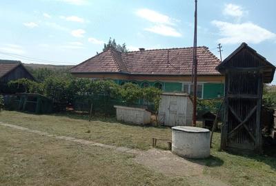 Casă cu Teren 4286 Mp în Central