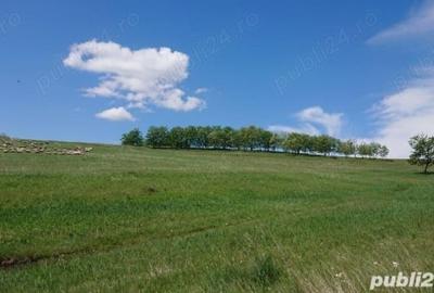 Teren de 8743 mp, în Central