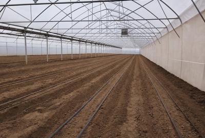 Casă individuală cu 3 camere cu Canalizare în Pădureni (Jebel) - 2