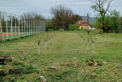 Casă cu 2 camere în Belotinț - 2