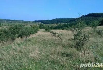 Teren în Borhanci - 3