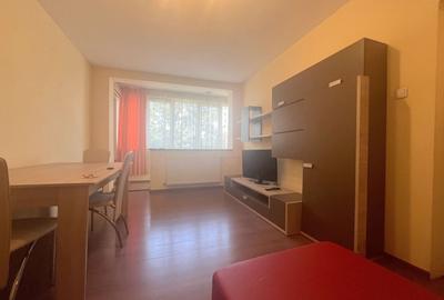 Apartament cu 3 camere decomandat, mobilat în Iosefin - 6