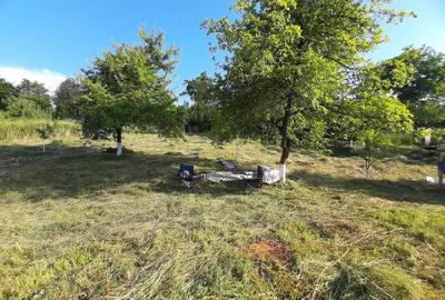 Teren de 410 mp, în Cerișor - 9