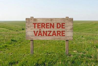 Teren agricol extravilan de 10000 mp, în Puchenii Mari