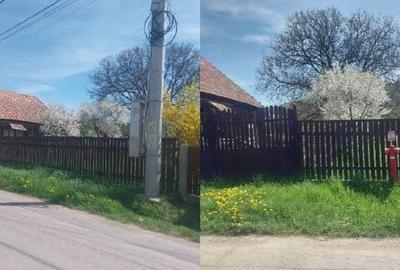 Casă cu 2 camere în Păpăuți - 6