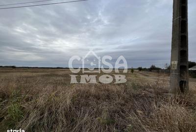 Teren de 1100 mp, în Mogoșani - 5