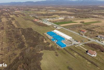 Teren de 7194 mp, în Carașova