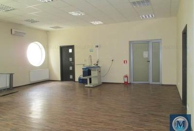 Birou, de 2,361 mp, în Păuleștii Noi - 12