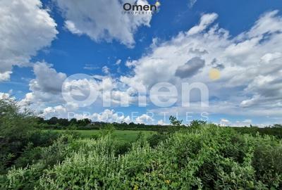 Teren agricol extravilan de 12000 mp, în Hideaga - 3