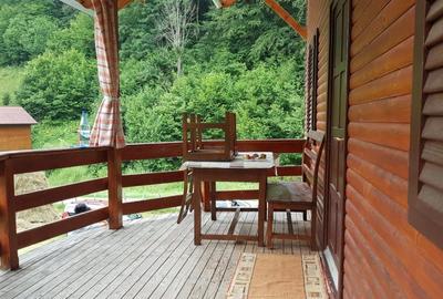 Casă individuală cu 5 camere cu Teren 3220 Mp în Feneș - 6