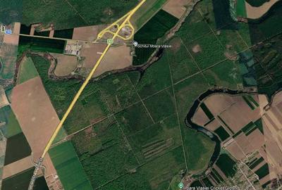 Teren de 1500 mp, în Moara Vlăsiei - 2