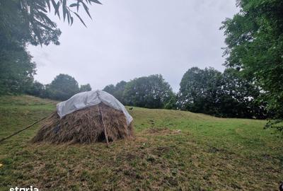 Teren de 2600 mp, în Sud