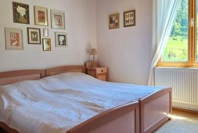 Casă cu 4 camere în Voineasa - 4