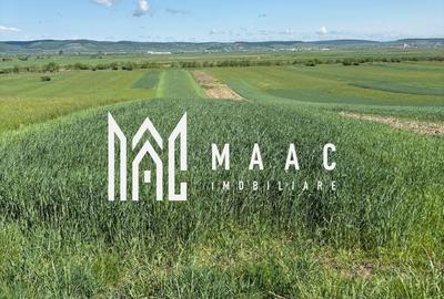 Teren agricol extravilan de 2393 mp, în Gura Râului