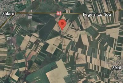 Teren de 11500 mp, în Central - 1