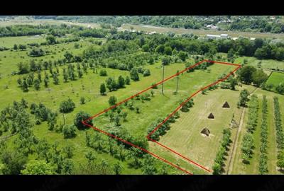 Teren de 5200 mp, în Albești - 1