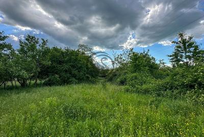 Teren agricol intravilan de 3600 mp, în Gura Vitioarei - 2