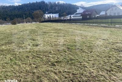 Teren de 12500 mp, în Poiana Stampei - 3