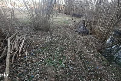 Teren de 500 mp, în Moșoaia - 4