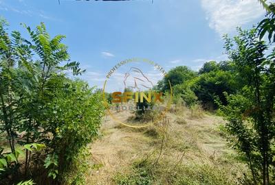 Teren Construcții intravilan de 1500 mp, în Lipia - 6