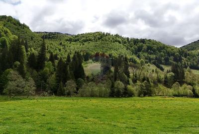 Teren agricol extravilan de 48297 mp, în Sătic - 11