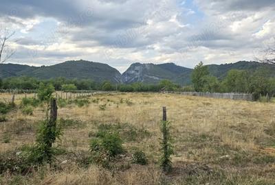 Teren de 8510 mp, în Polovragi - 1