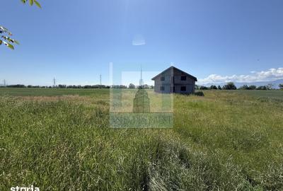 Teren de 50000 mp, în Hălchiu - 3