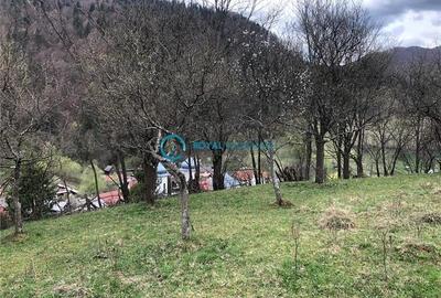 Teren Construcții intravilan de 5041.41015625 mp, în Voineasa - 7