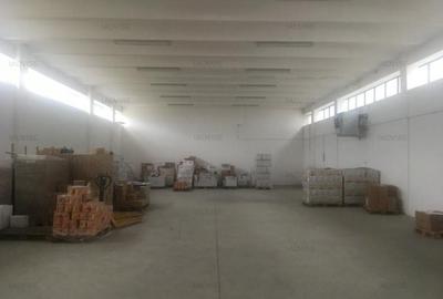 Spațiu industrial, de 700 mp, în Griviței - 3