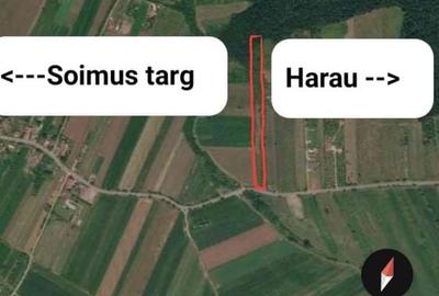 Teren de 5981 mp, în Hărău - 6