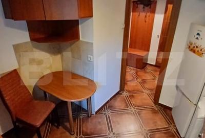 Apartament cu 2 camere semidecomandat, mobilat în Astra - 7