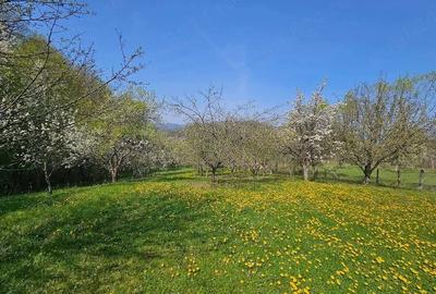 Teren de 3000 mp, în Dăești - 5