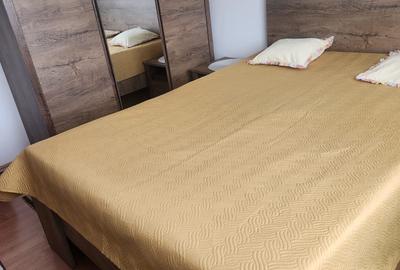 Apartament cu 2 camere decomandat în Ostroveni - 4