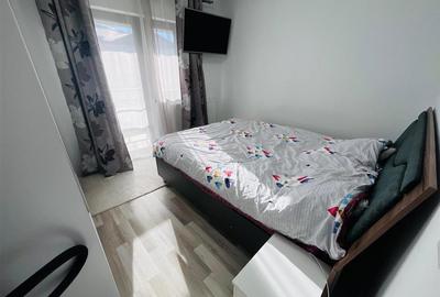 Apartament cu 2 camere decomandat, mobilat în Lunca Cetățuii