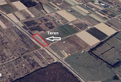 Teren de 9196 mp, în Sânmartin - 1